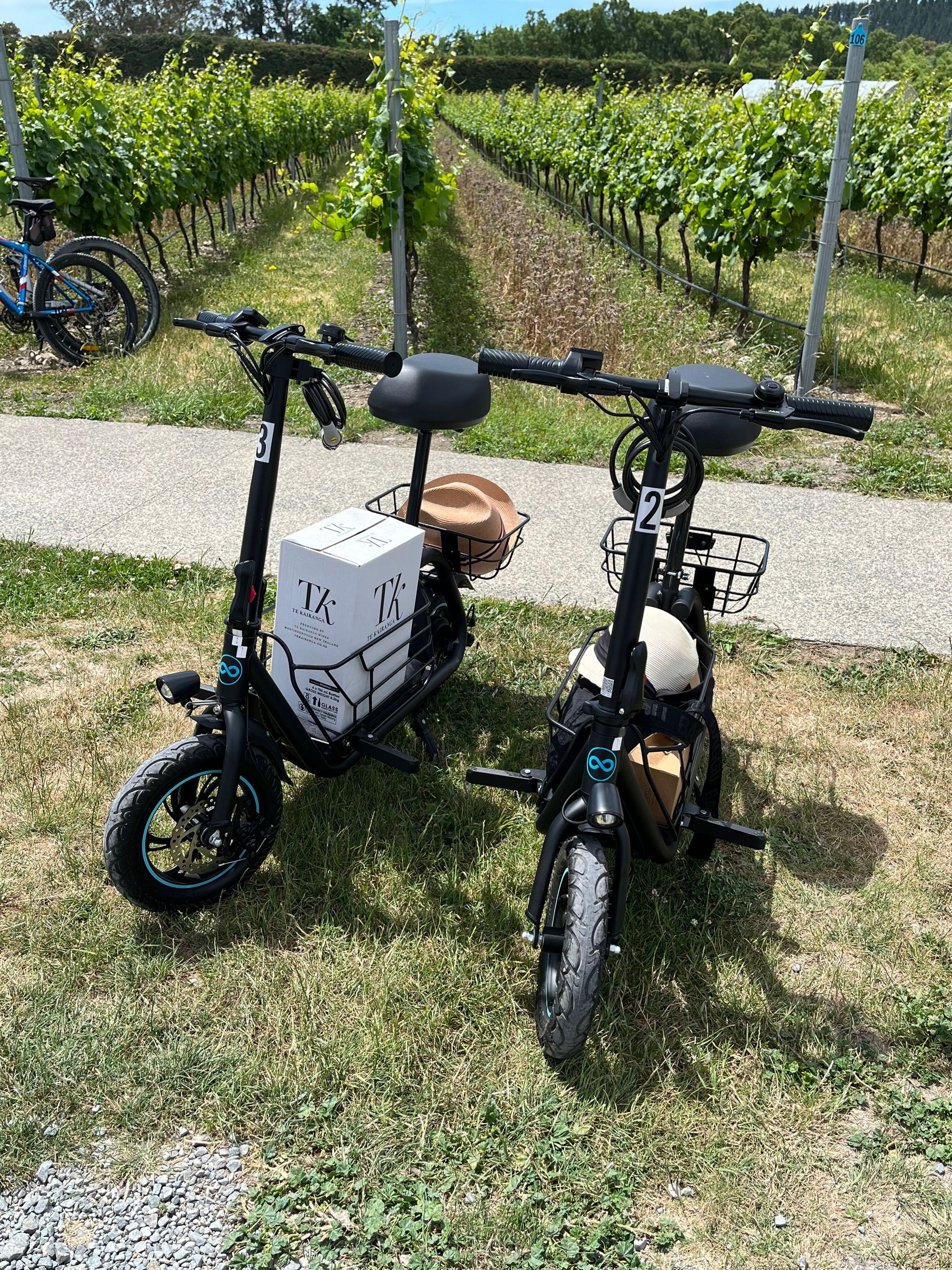 Two riders on E-Rides scooters in Martinborough